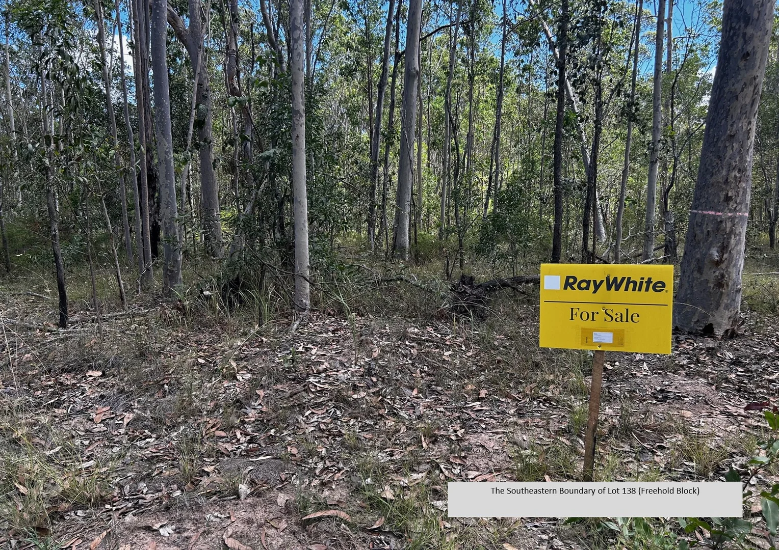 Additional image 8 of 6620 Summerland Way, Myrtle Creek NSW 2469