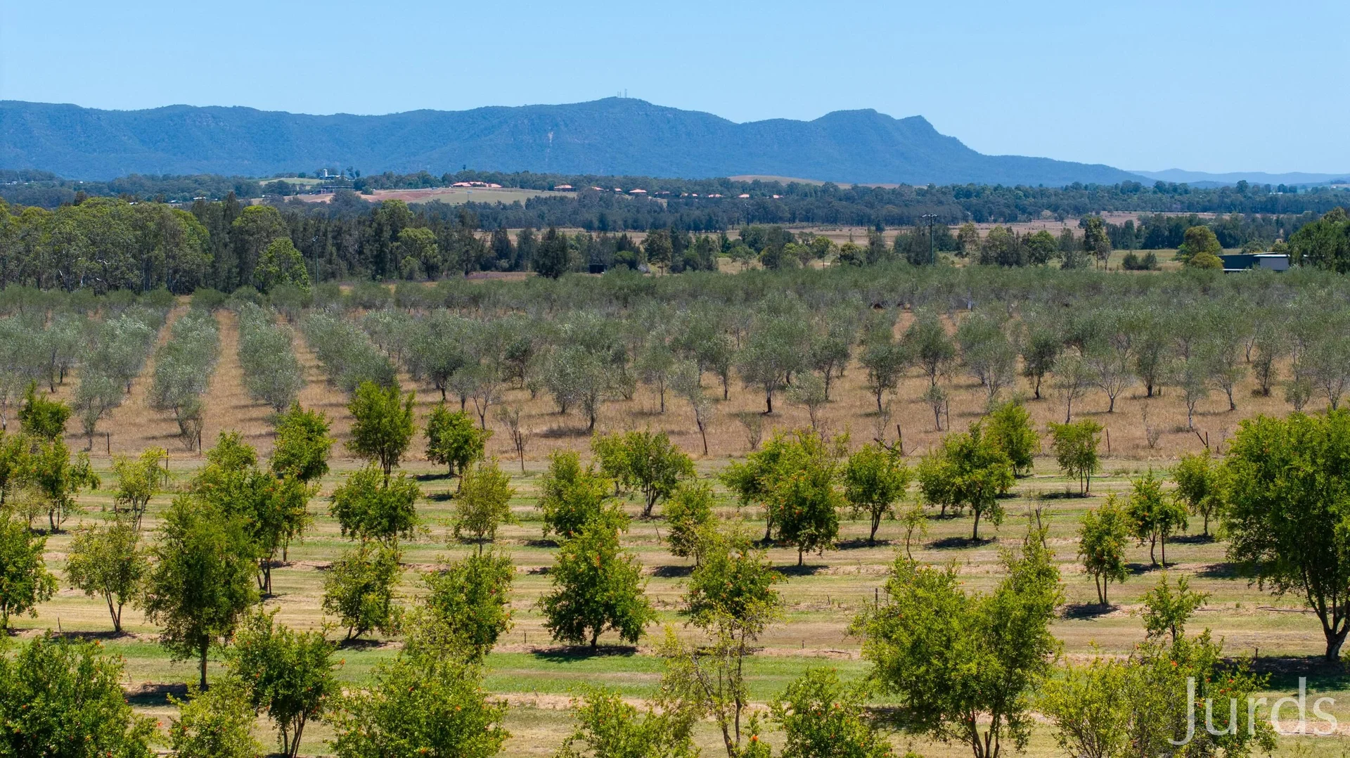 Additional image 6 of 307 Talga Road, Lovedale NSW 2325