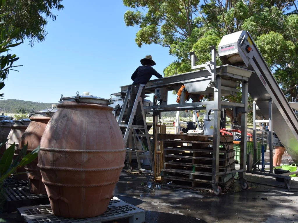 Additional image 39 of Harrisons Road, Dromana VIC 3936