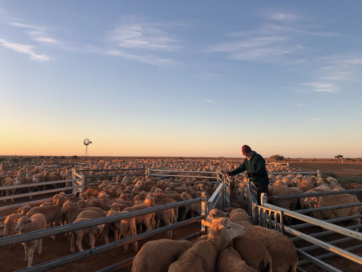 Additional image 10 of Eyre Highway, Dundas WA 6443