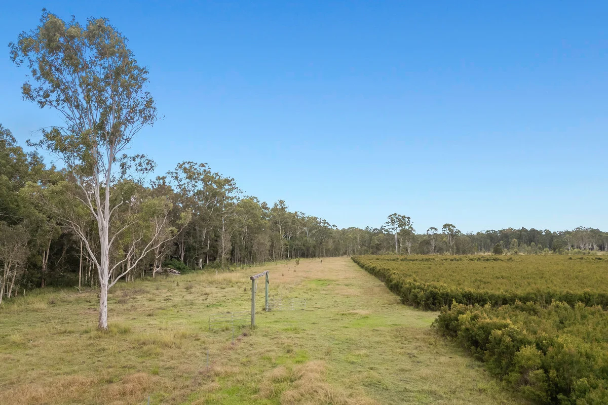 Additional image 39 of 8855 Summerland Way, Leeville NSW 2470