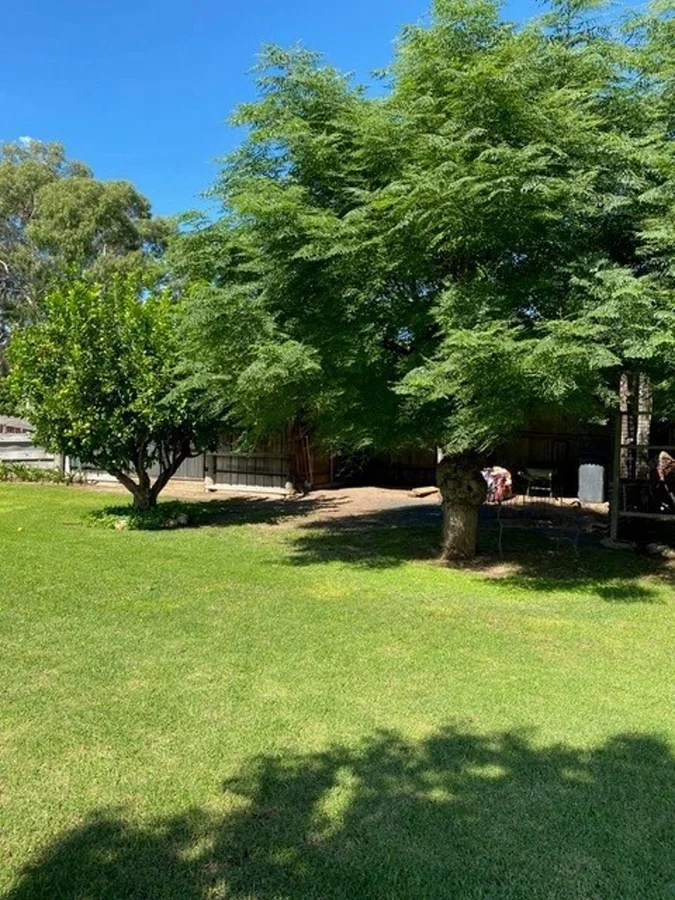 Additional image 21 of 26 Hermann Street, Coonamble NSW 2829