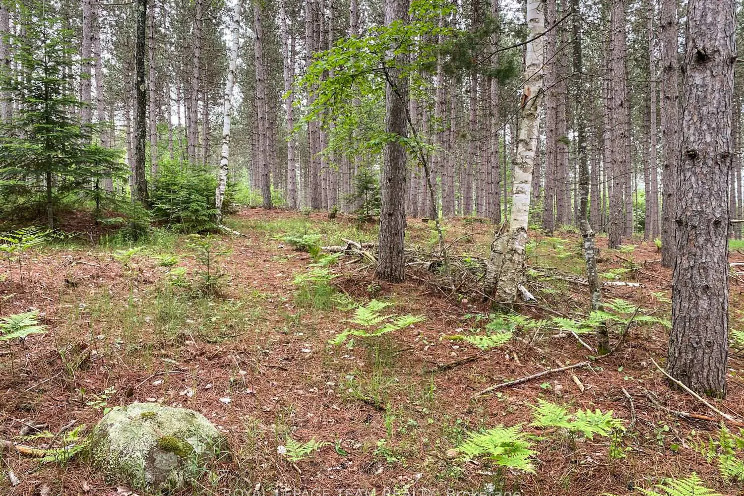 Additional image 6 of 1477 Watsons Corners Road