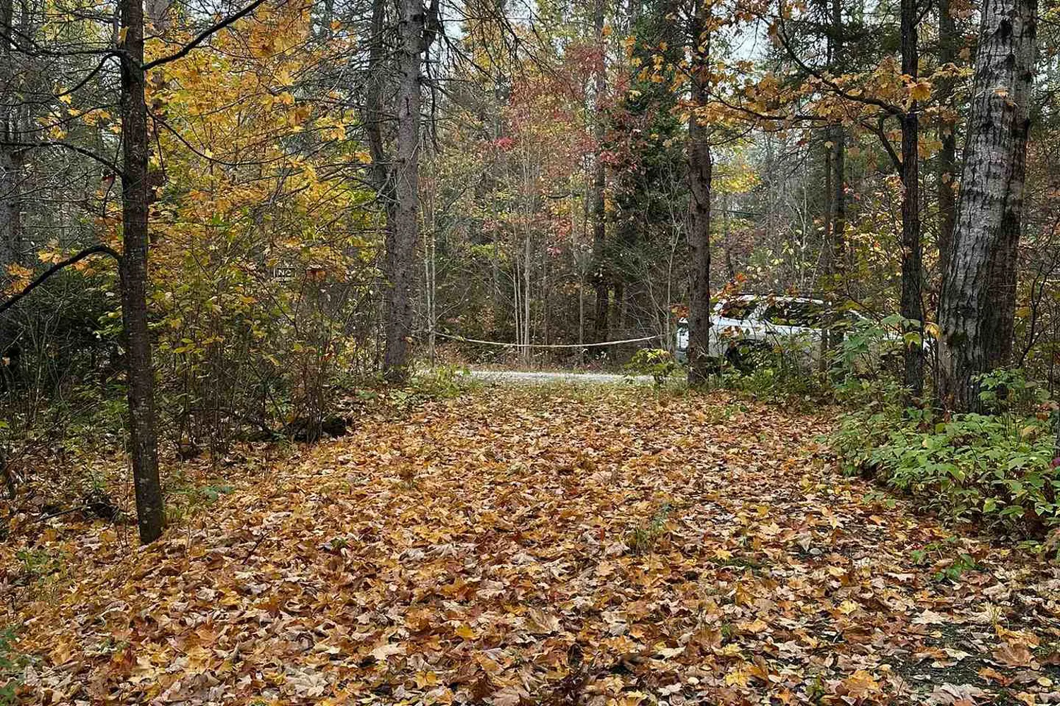 Additional image 7 of 77 Grindstone Road