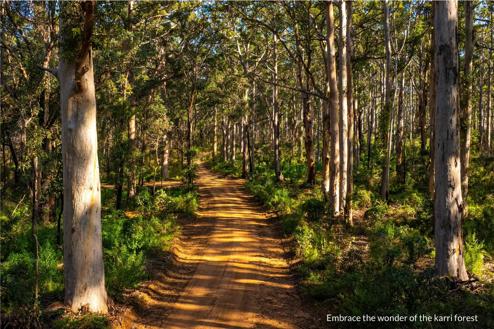 Additional image 6 of 20 Tunbridge Street "Tunbridge Walk", Margaret River WA 6285