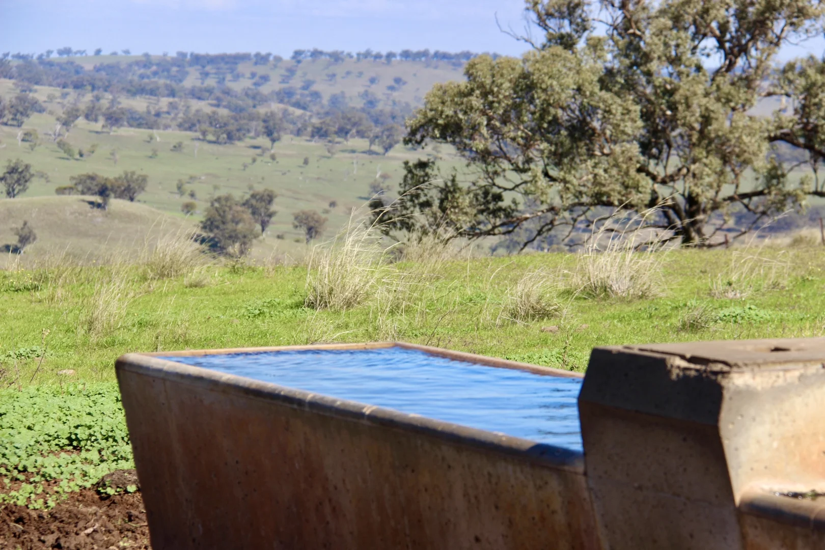 Additional image 19 of "Jemalong" 263 Collier Road, Coolah NSW 2843