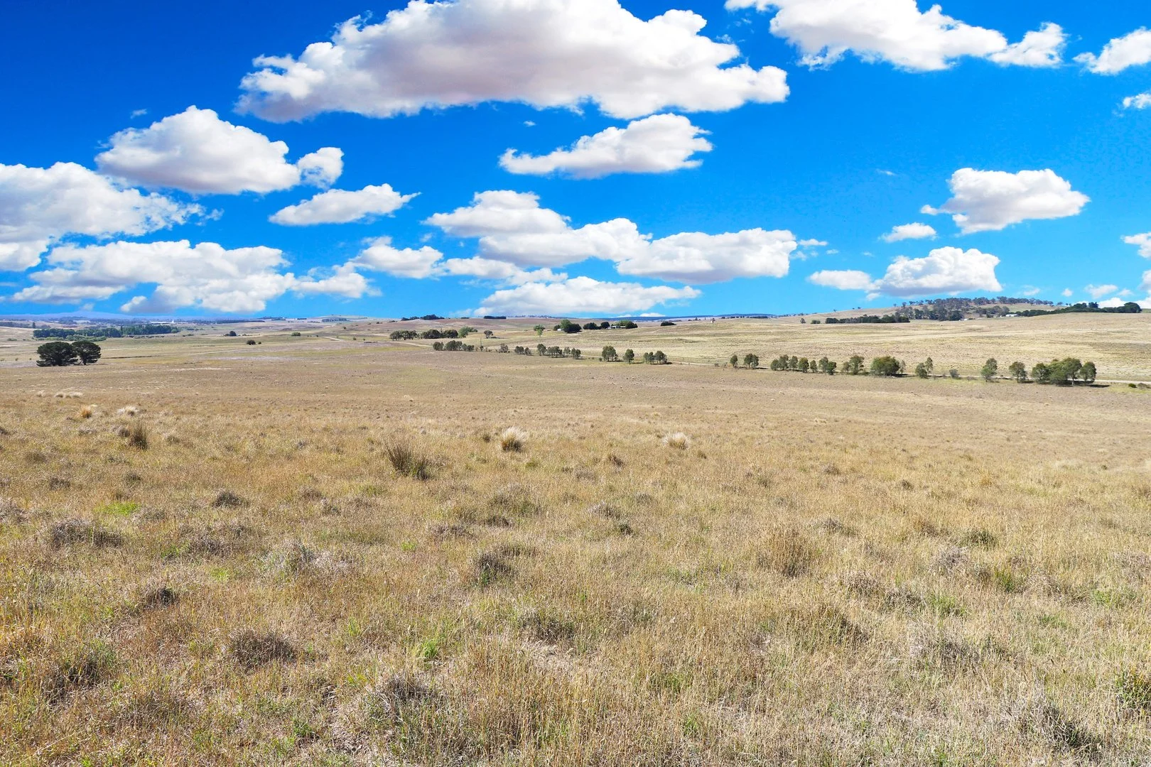 Additional image 18 of 77 Aerodrome Road, Bombala NSW 2632