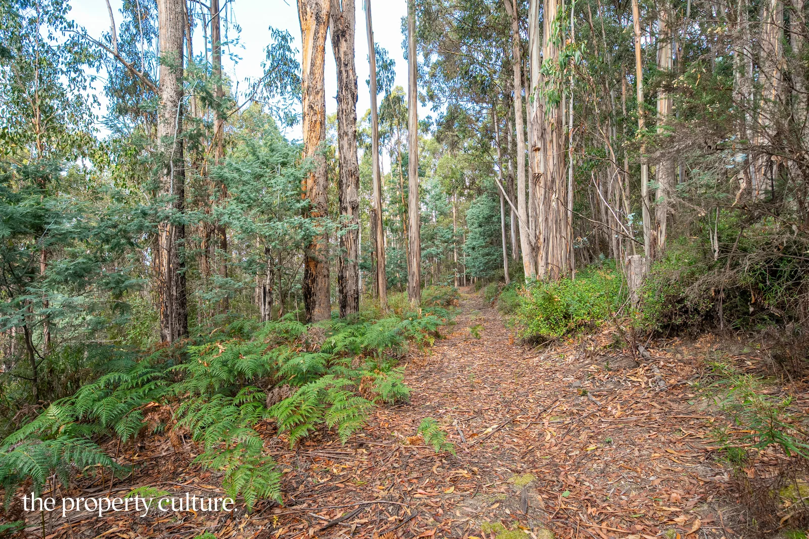 Additional image 4 of 2 Heriots Rise, Franklin TAS 7113