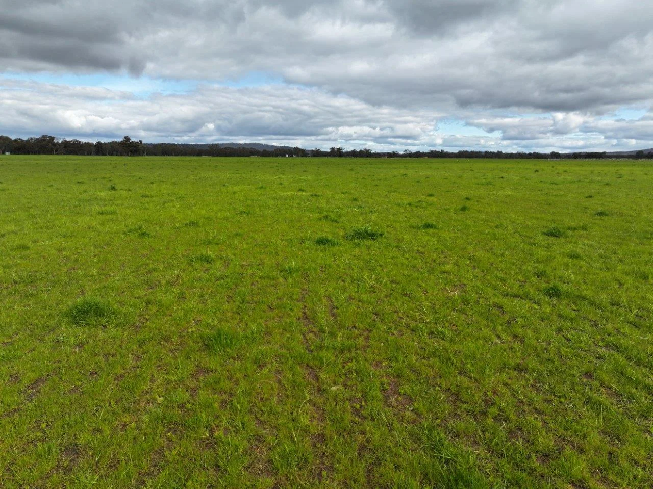 Additional image 9 of - Kurting Kingower Road, Kurting VIC 3517