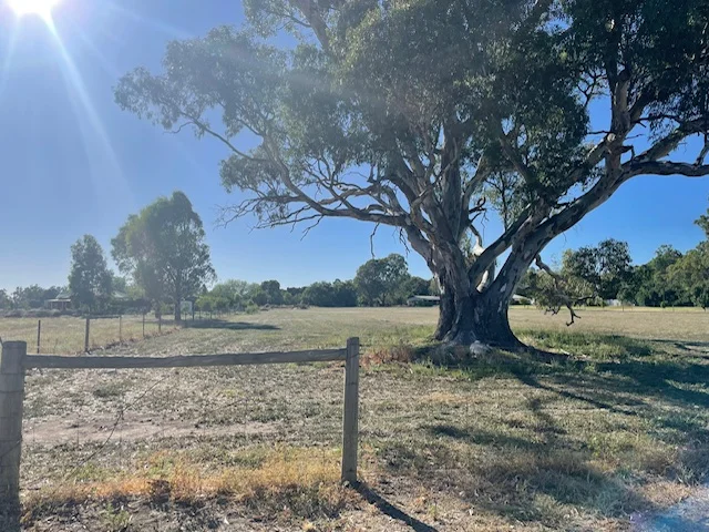 Lot 3 North Barham Road, Barham NSW 2732