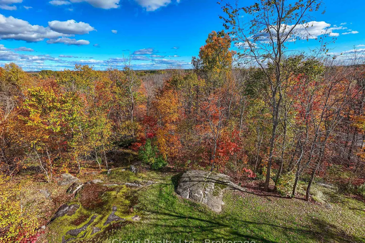 Additional image 18 of 6 Springhill Road