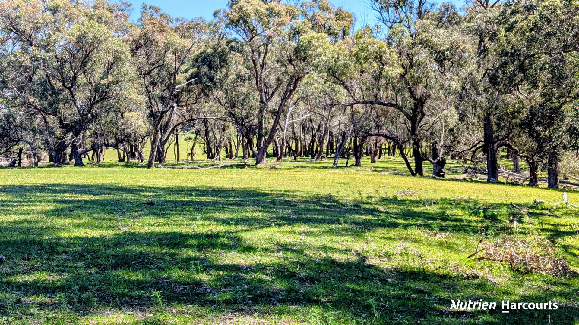 Additional image 23 of Lot 53 Cowalla Road, Cowalla WA 6503