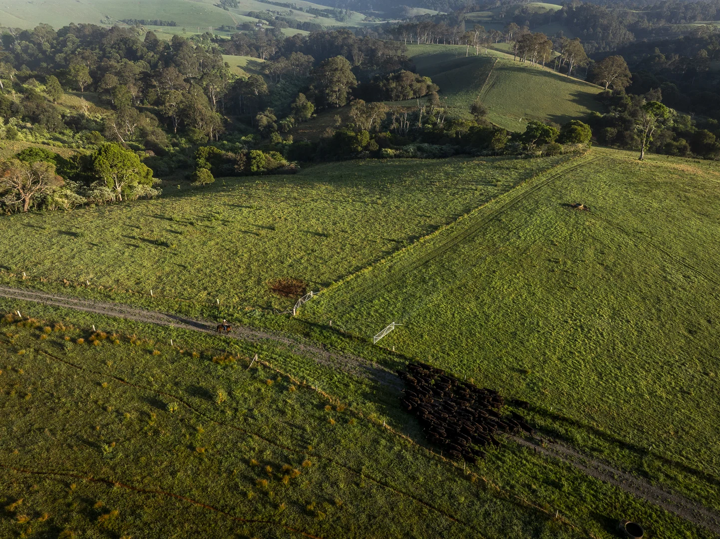 Additional image 12 of 294 Coramba Road, Dorrigo NSW 2453