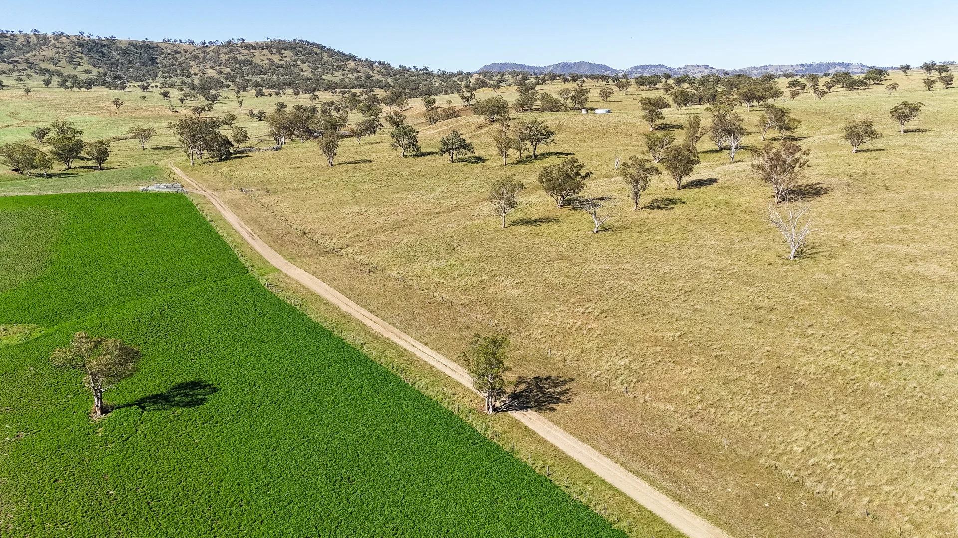 Additional image 8 of 'Kierahmee' 53 Tyrone Rd, Bunnan via, Scone NSW 2337