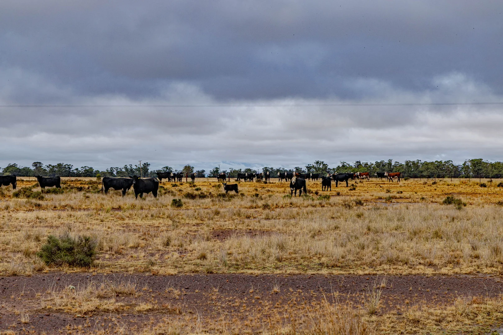 Additional image 15 of 'Woroona' & 'Tralee' 936 Boorr Hill Road, Parkes NSW 2870
