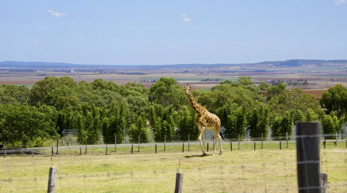 Additional image 35 of 21 Baines Road, Pilton QLD 4361