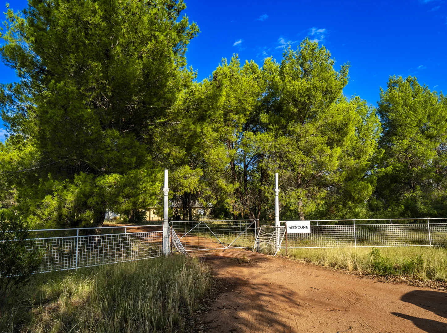 Additional image 9 of Mentone 1521 Bruie Plains Road, Trundle NSW 2875