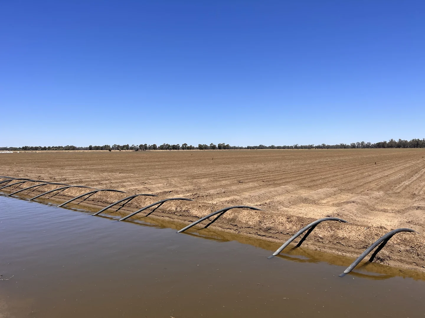 Additional image 5 of 4005 Lachlan Valley Way, Forbes NSW 2871