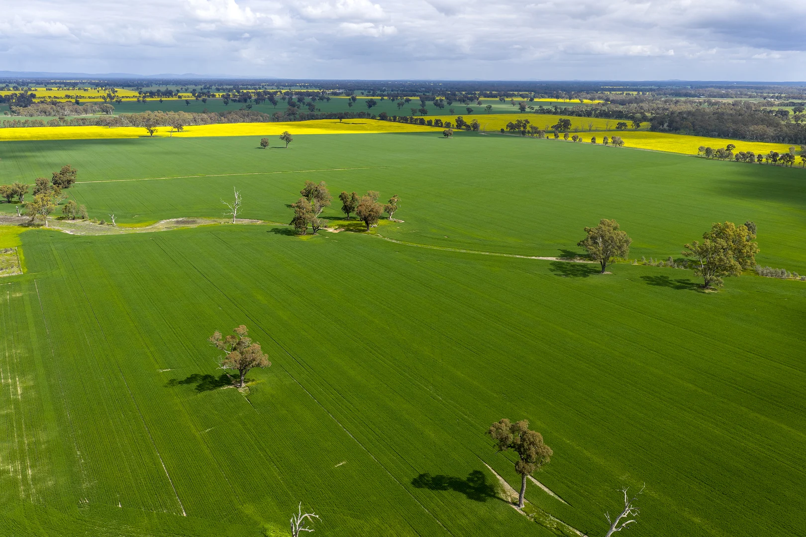 Additional image 5 of 250 Karramomus Road, Arcadia VIC 3631