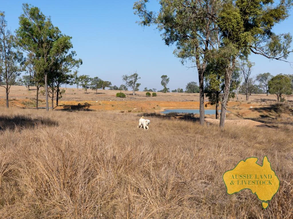 Additional image 23 of 110 BENHAMS ROAD, Mundubbera QLD 4626