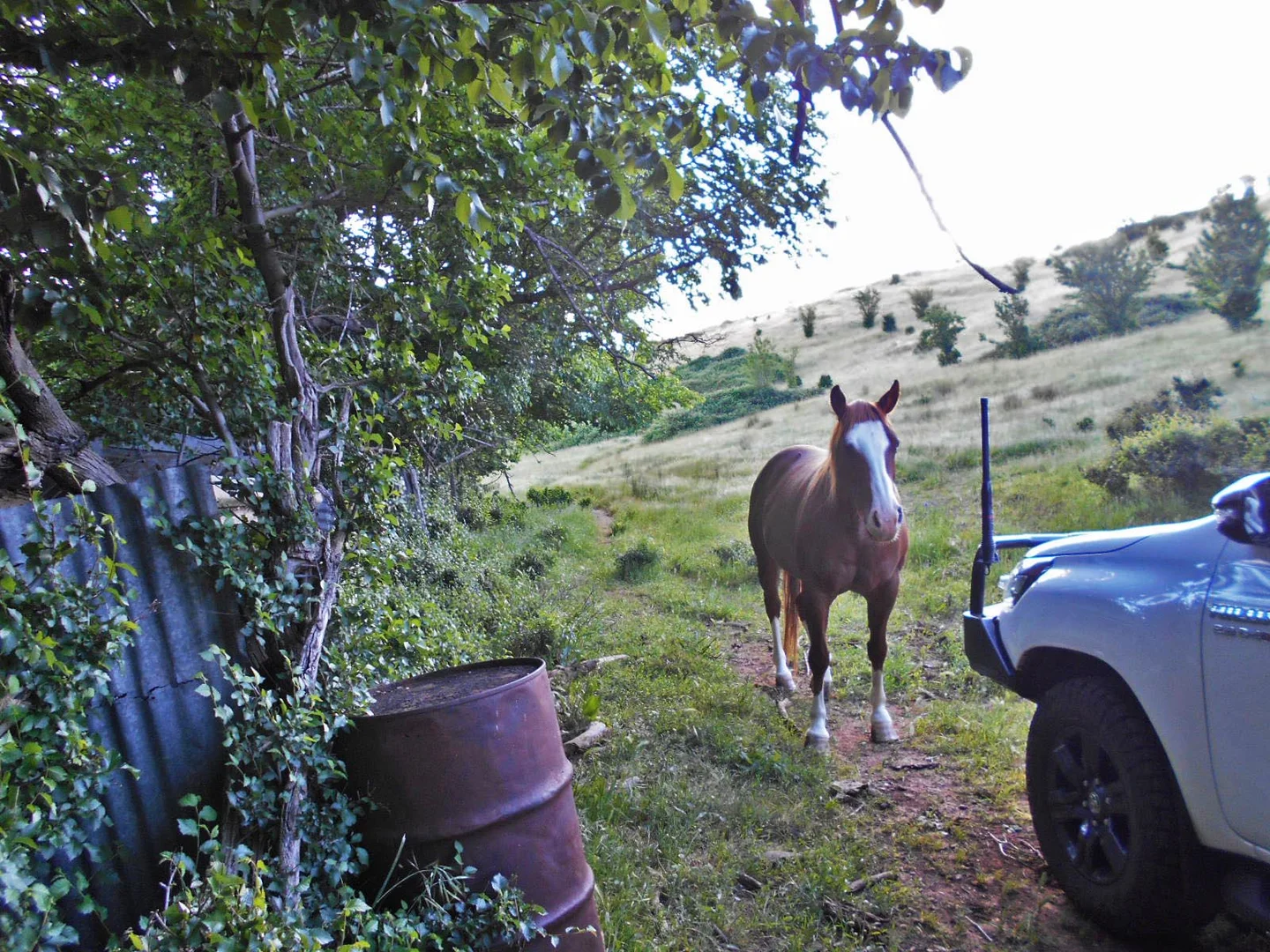 Additional image 17 of 30 Hanley & Moon Street, Gundagai NSW 2722