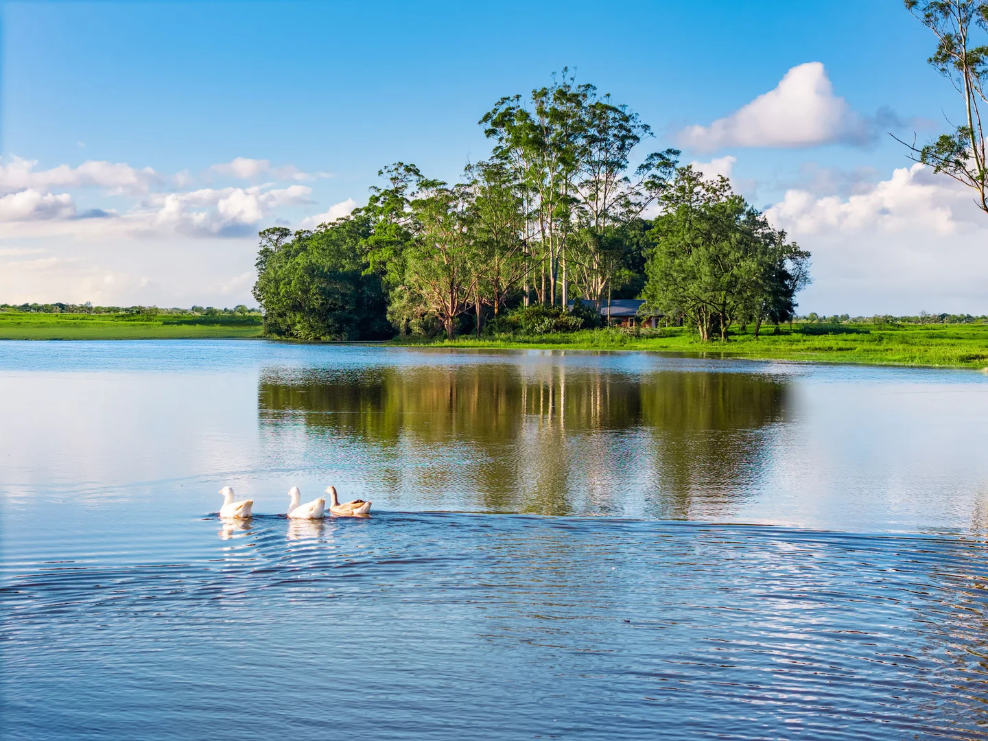 Additional image 10 of 1/250 Eureka Road, Eureka NSW 2480