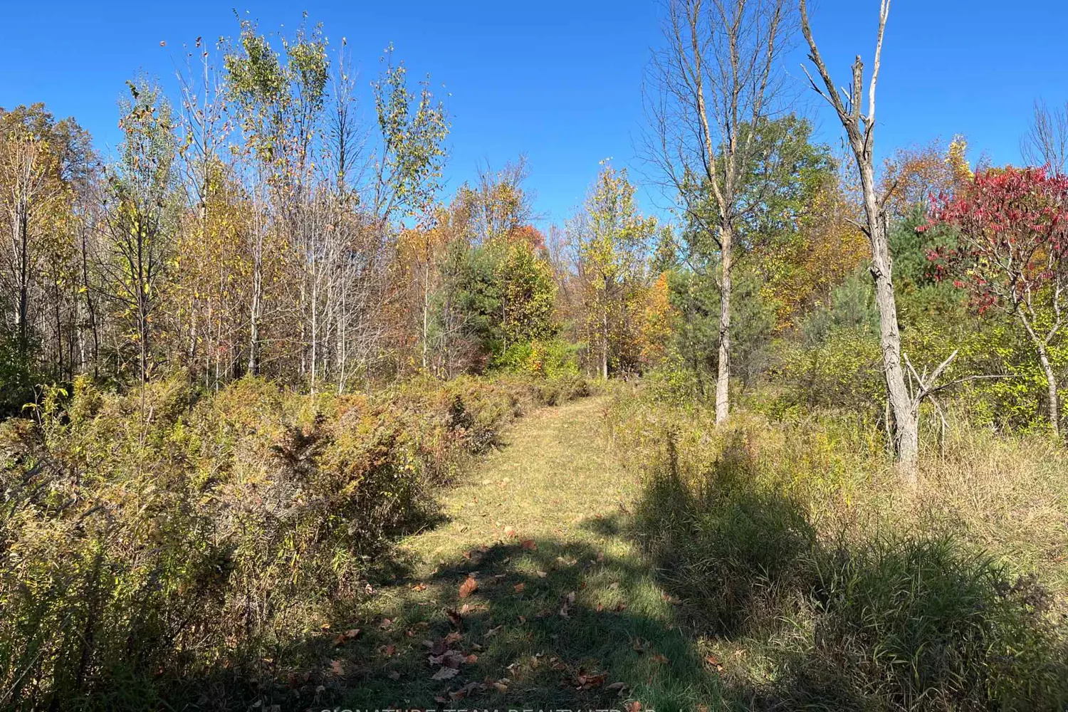 Additional image 12 of 0 Minnie Road