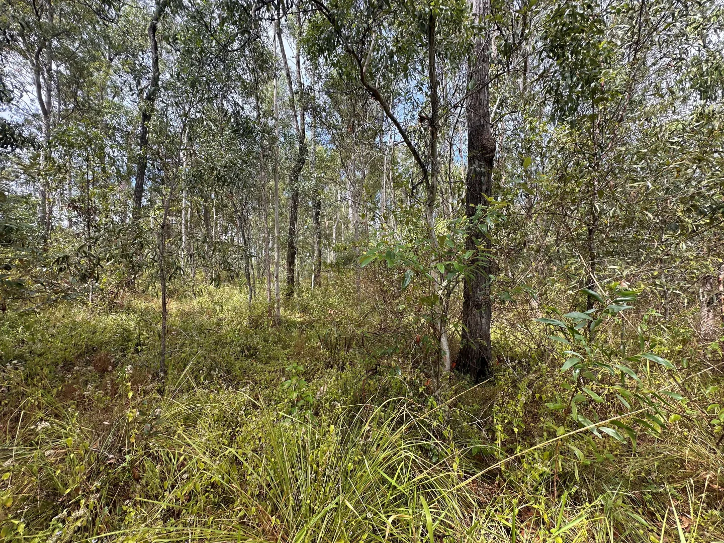 Additional image 7 of Lot 753 Arbortwenty eight, Glenwood QLD 4570