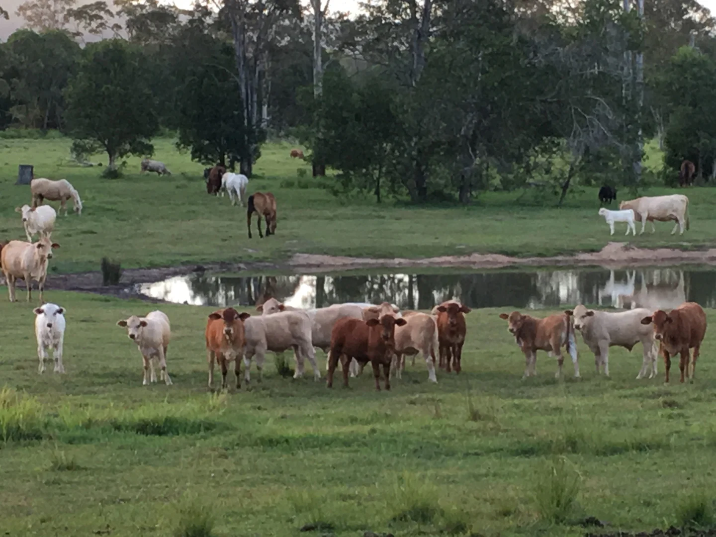 Additional image 6 of Cootharaba QLD 4565