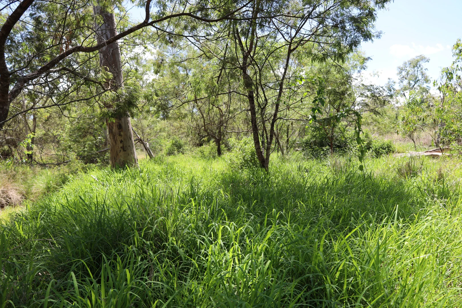 Additional image 4 of 349 Paul Holznagel Road, Murgon QLD 4605