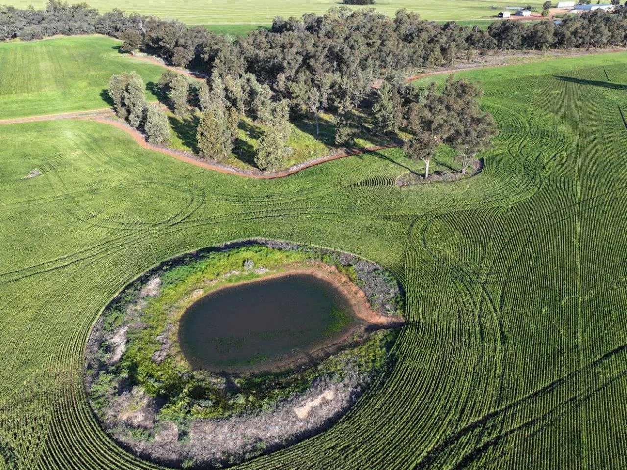 Additional image 3 of Part Westbury Goldfields Way, Barmedman NSW 2668