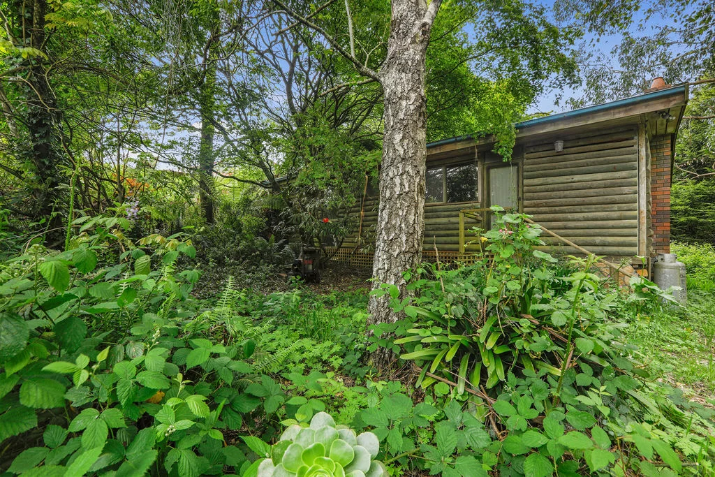 Additional image 7 of 19A, B & C Lavers Hill-Cobden Road, Lavers Hill VIC 3238