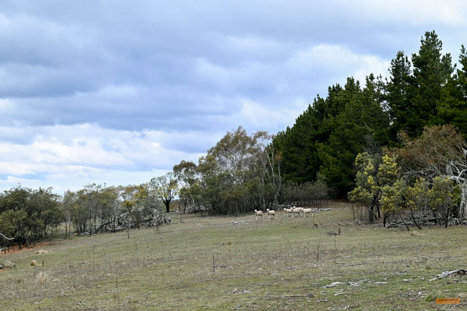 Additional image 25 of "Eagle Heights" 636 Caddigat Road, Dry Plain NSW 2630