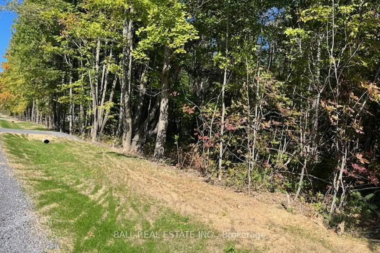 Pt 33A & Pt 33B Autumn Road