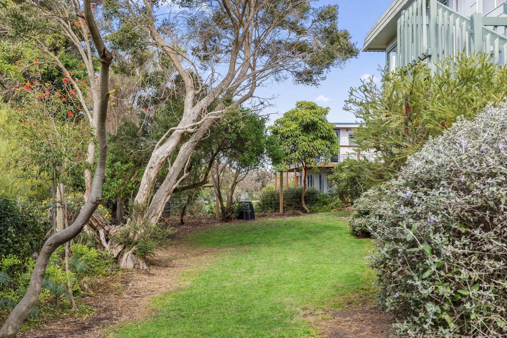 Additional image 24 of 2 Sixth Avenue, Anglesea VIC 3230