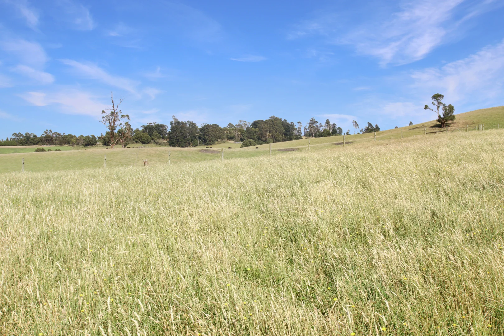 Additional image 17 of 3233 Strzelecki Highway, Mirboo North VIC 3871