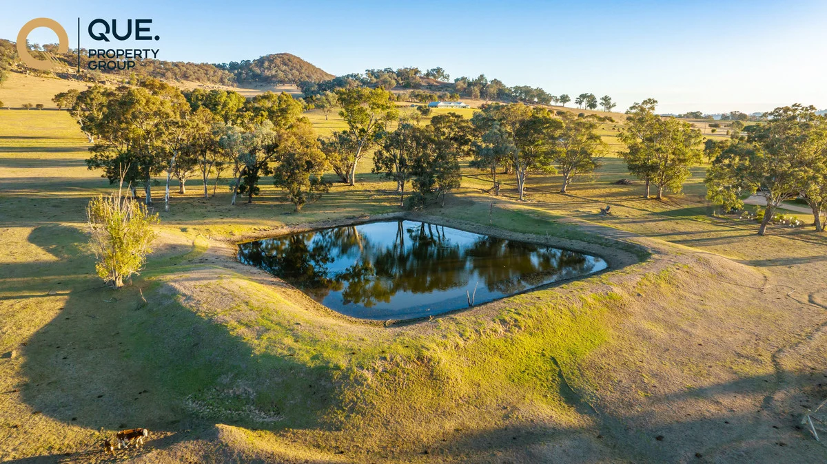 Additional image 34 of 624 Dights Forest Road, Table Top NSW 2640