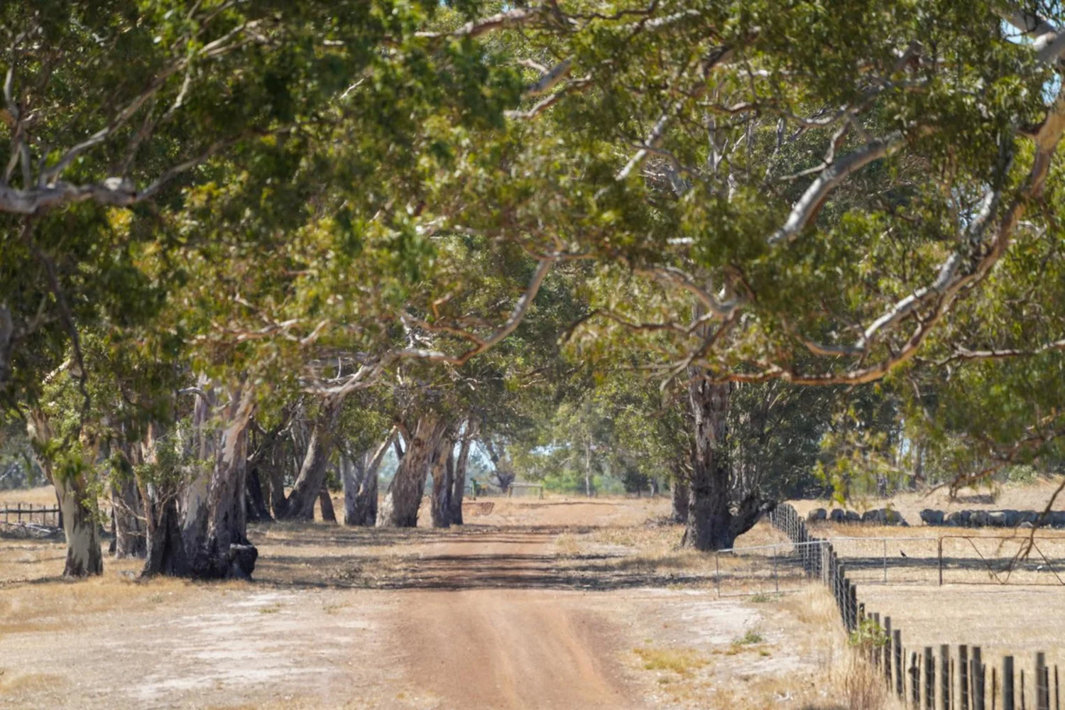 Additional image 17 of 3593 Nareen Road, Culla VIC 3315