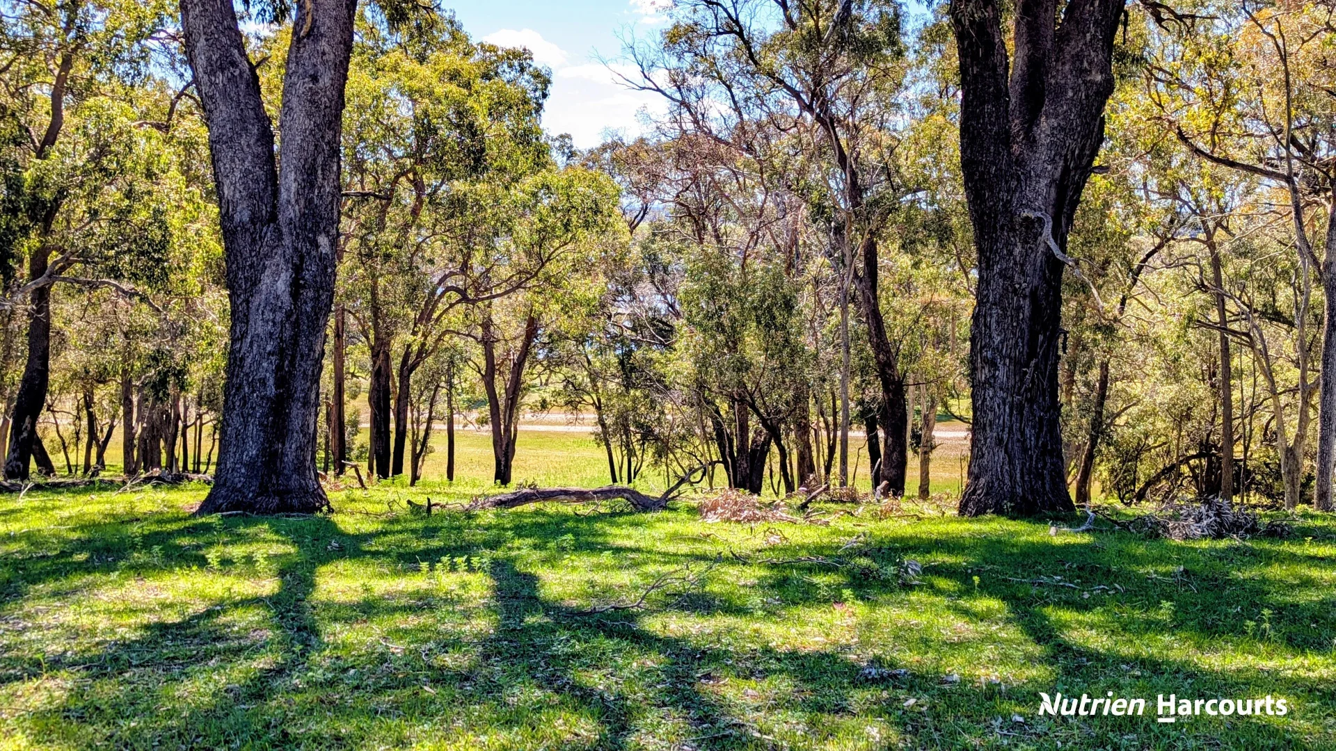 Additional image 21 of Lot 53 Cowalla Road, Cowalla WA 6503