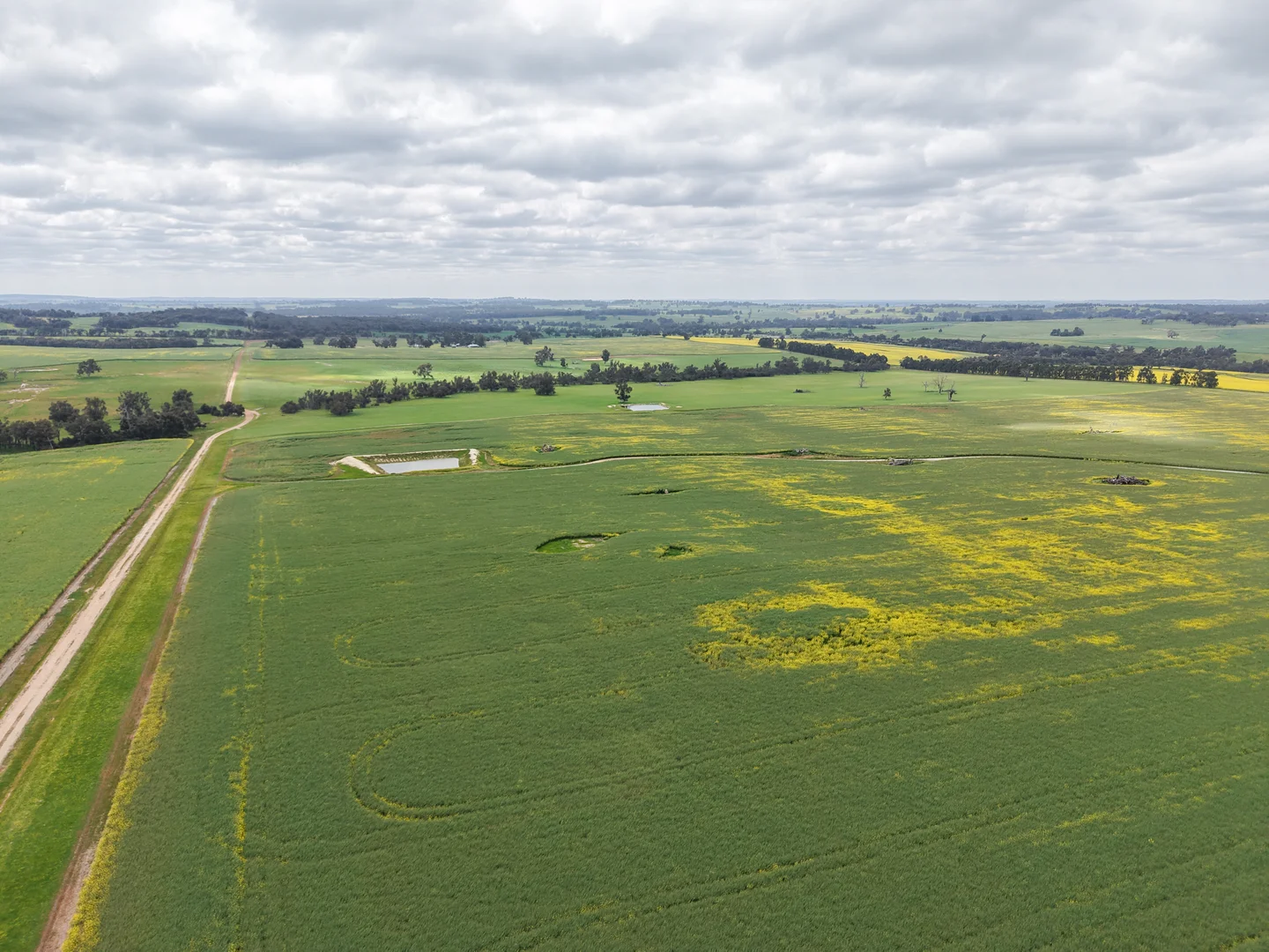 Additional image 16 of 495 Narlingup Road, Qualeup WA 6394