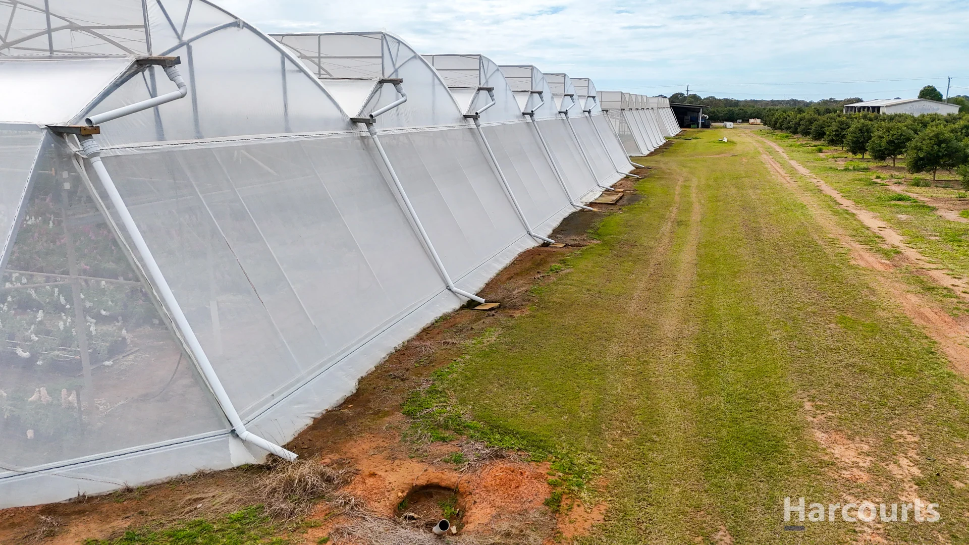 Additional image 7 of 106 Sheehans Road, Calavos QLD 4670