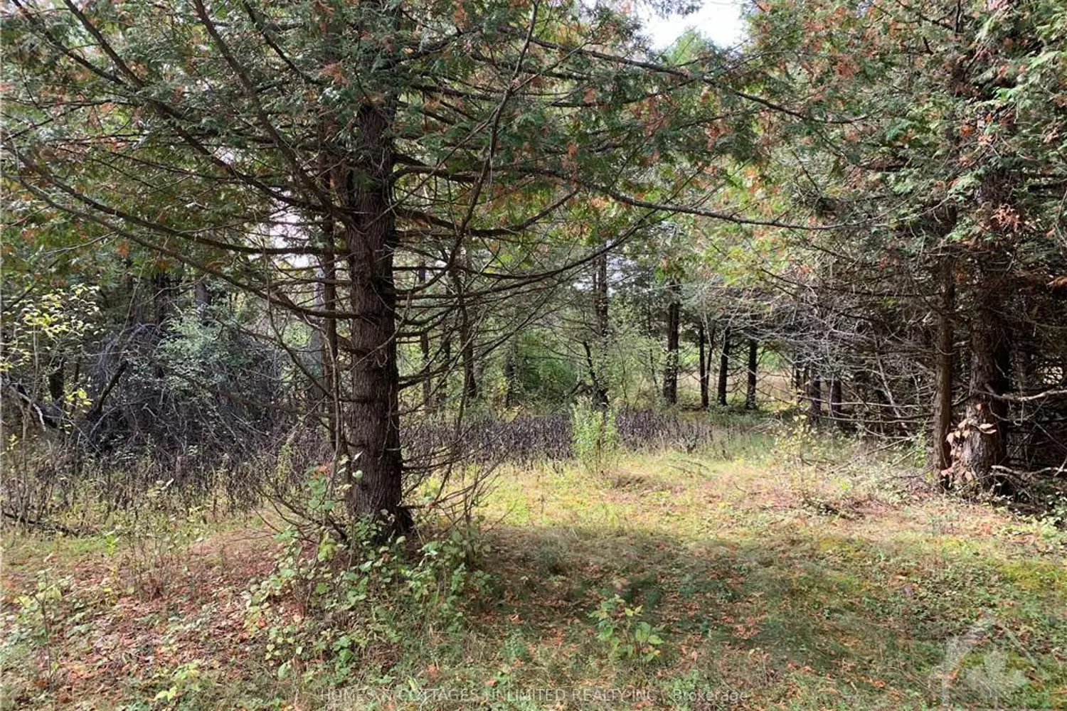 Additional image 9 of 5882 Mcdonalds Corners Road