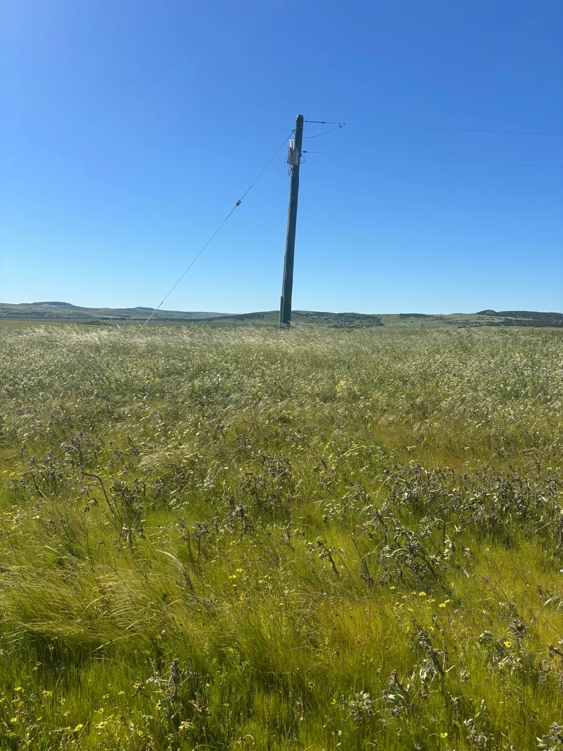 Additional image 10 of Lot 1914 Minnenooka Road, Minnenooka WA 6532