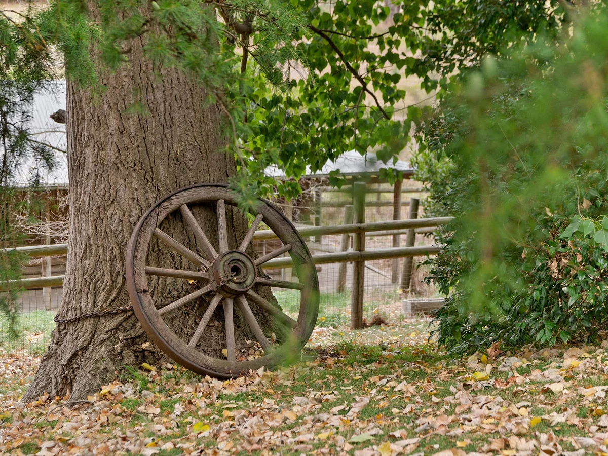 Additional image 21 of 65 Hopetoun Avenue, Mount Martha VIC 3934