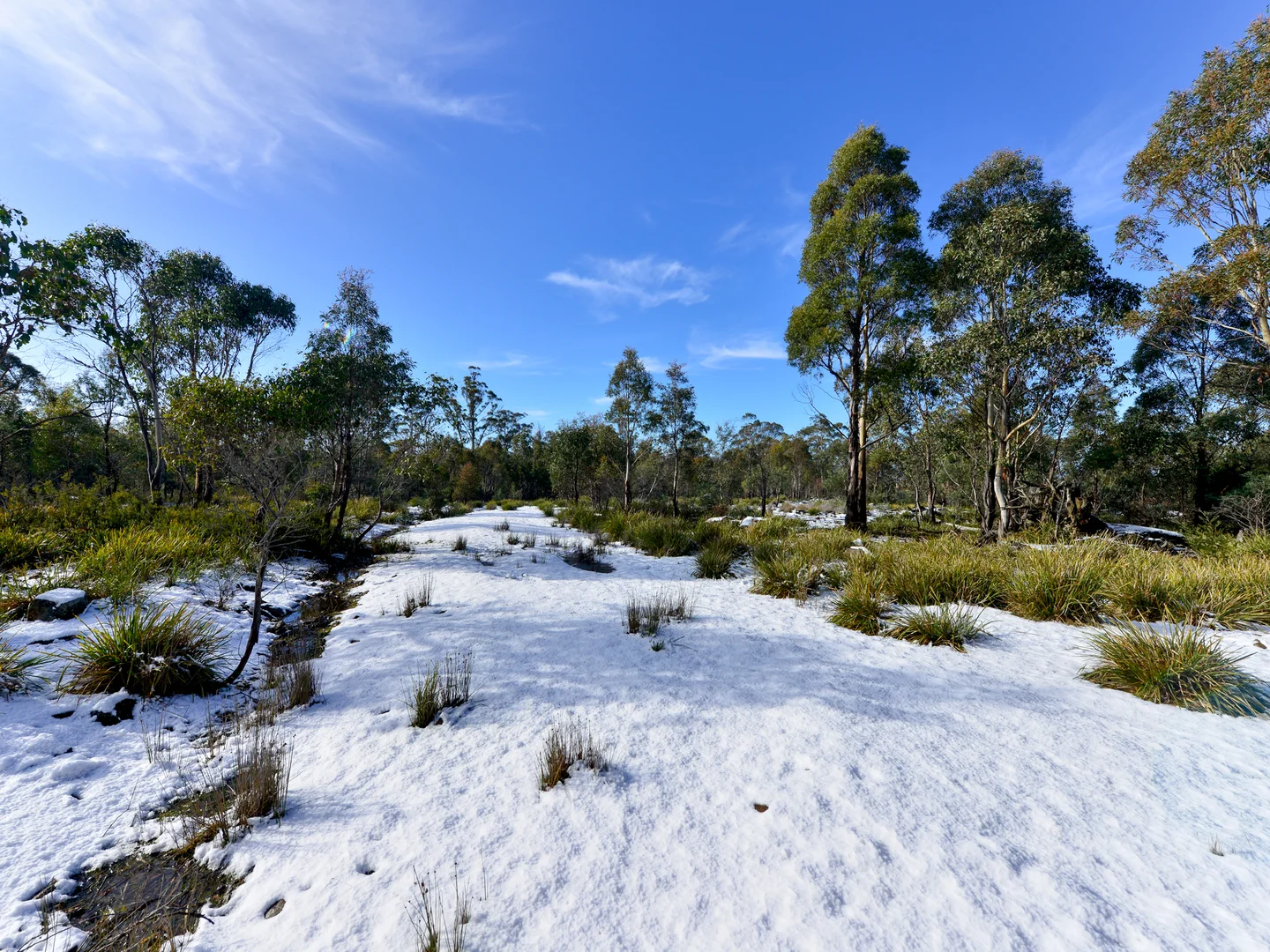 Additional image 18 of 172 Mcguires Marsh Road, Osterley TAS 7140