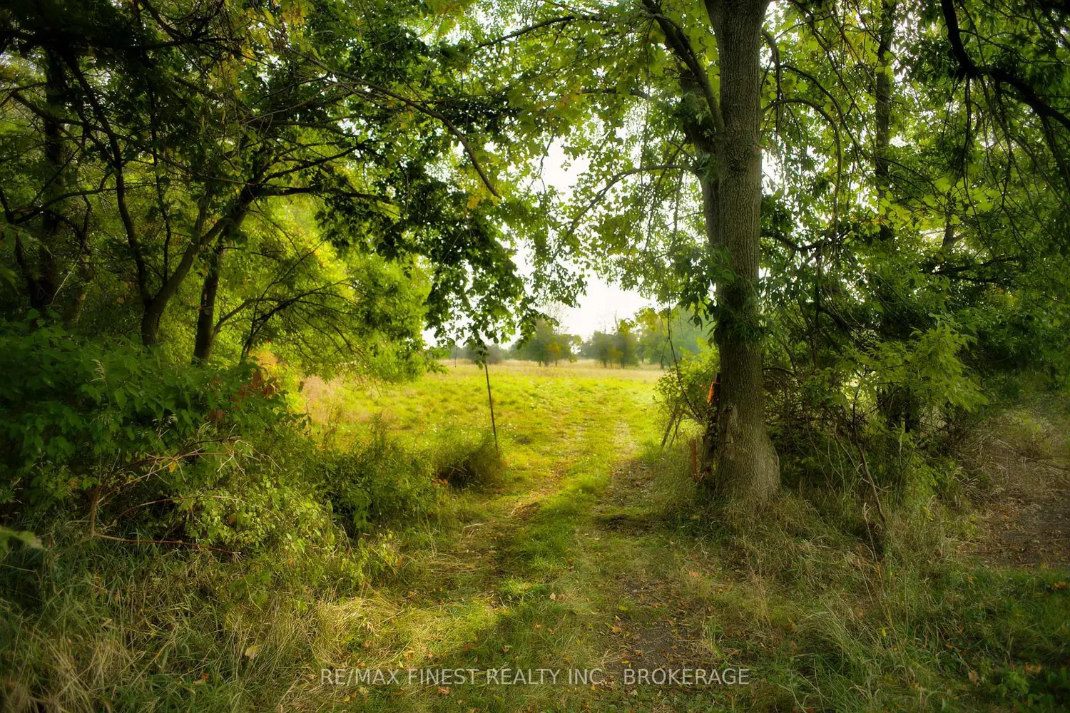 Additional image 19 of 15355 Front Road