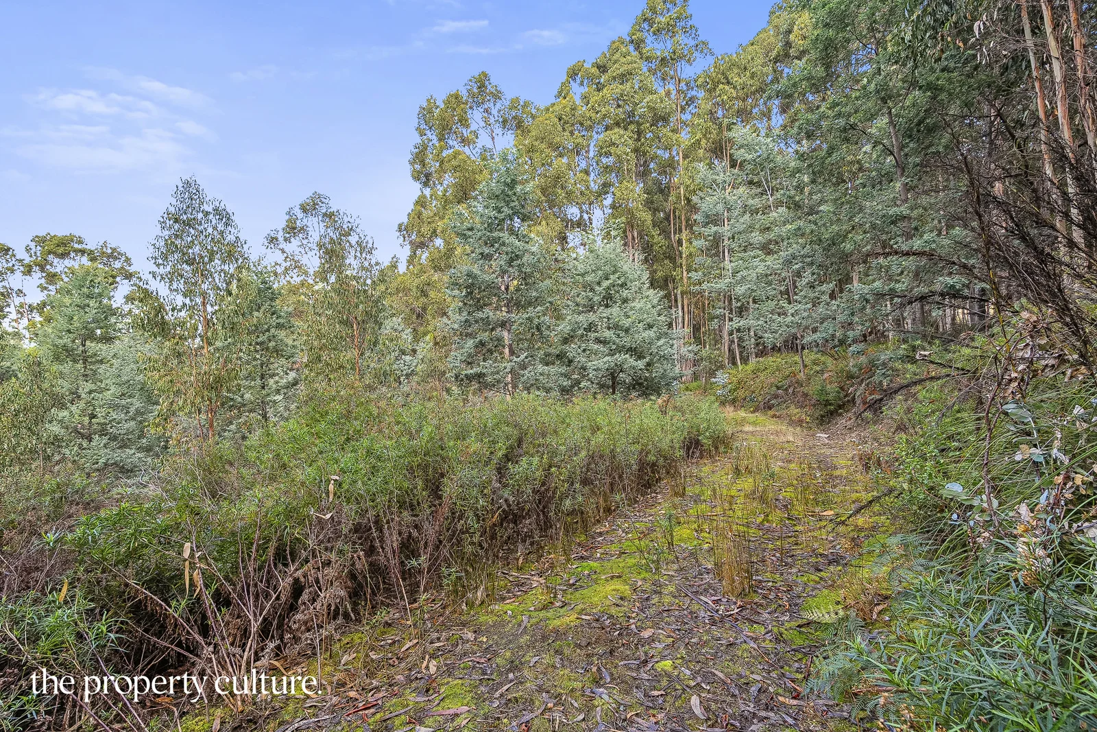 Additional image 16 of 2 Heriots Rise, Franklin TAS 7113