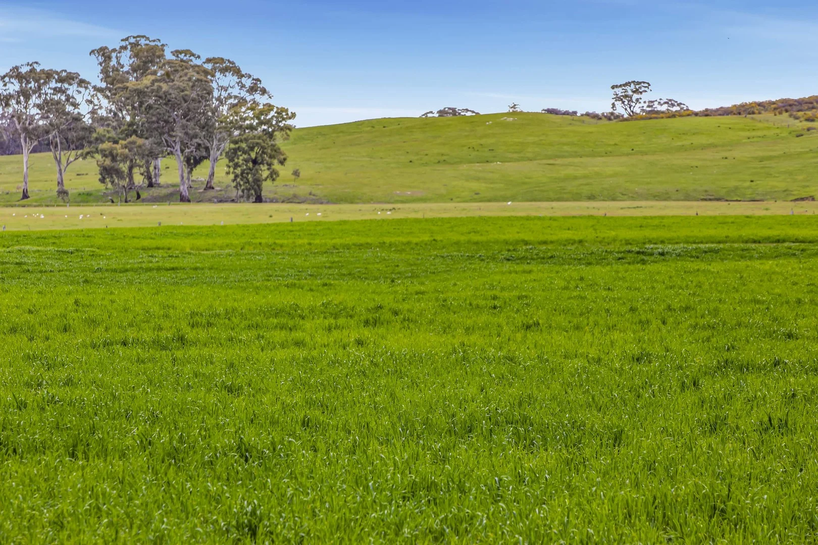 Additional image 19 of 441 Frenchmans - St Arnaud Road, Barkly VIC 3384