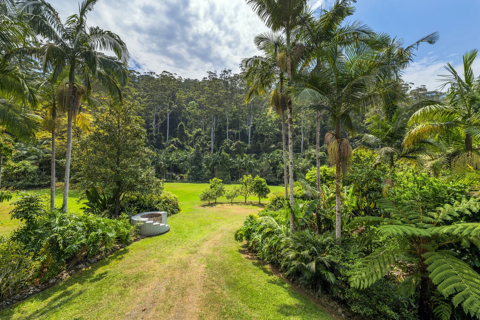 Additional image 6 of 109 Little North Arm Road, Bellingen NSW 2454