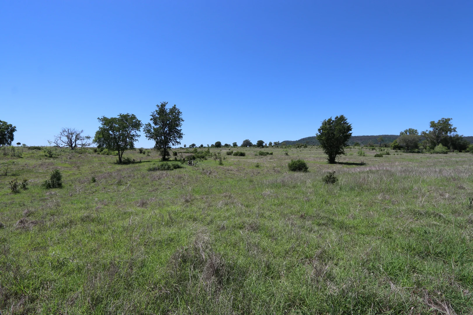 Additional image 30 of 260 Shannen Road, Dalma QLD 4702